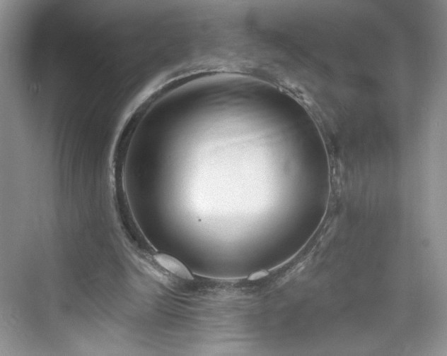 X0000076320246200609291101