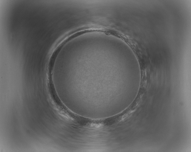 X0000076320247200609291101