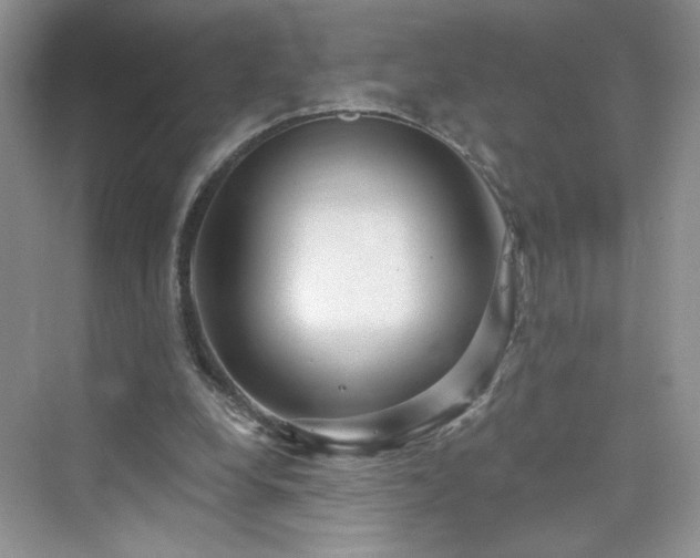 X0000076320248200609291101