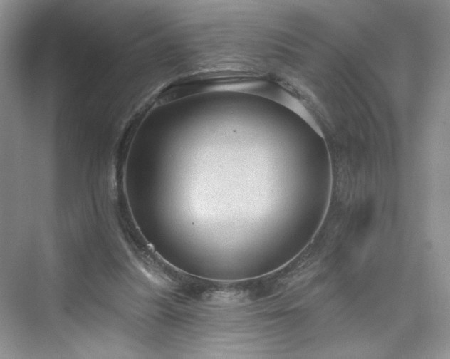X0000076320251200609291101