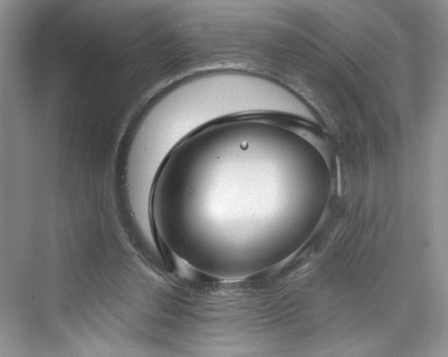 X0000076320252200609291101