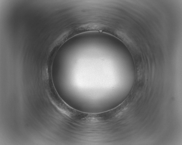 X0000076320254200609291101