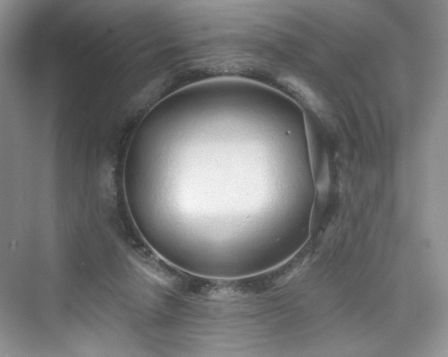 X0000076320258200609291101