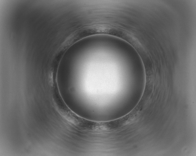 X0000076320262200609291102