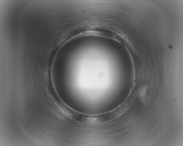 X0000076320265200609291102