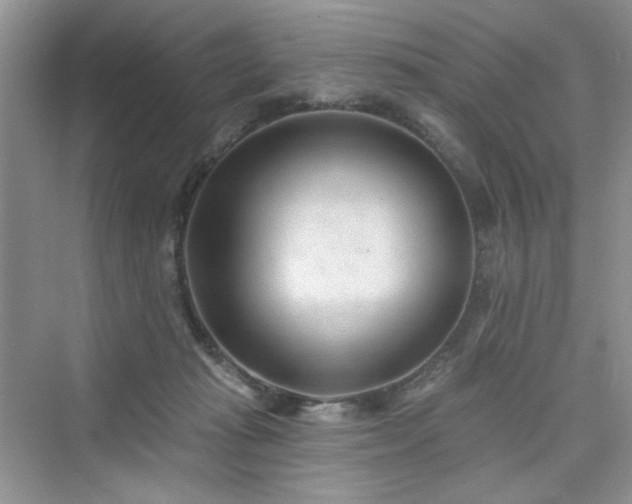 X0000076320269200609291102