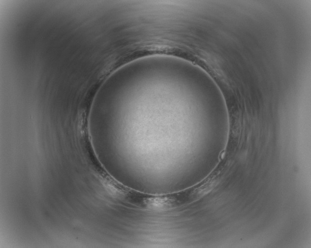X0000076320273200609291102