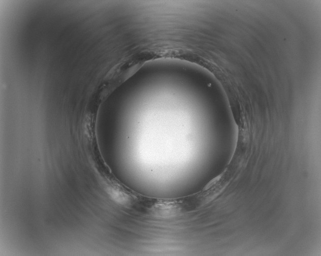 X0000076320280200609291102