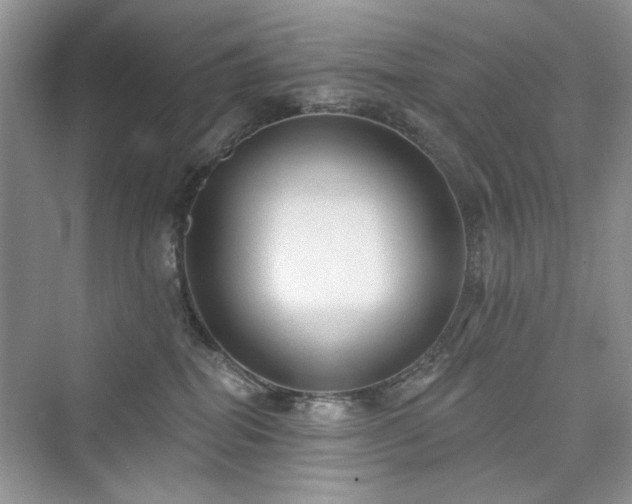 X0000076320282200609291102