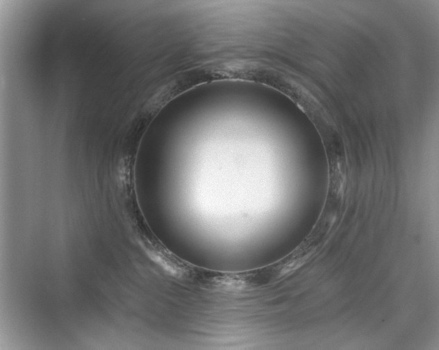 X0000076320284200609291102