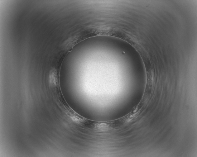 X0000076320287200609291102