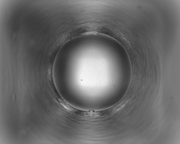 X0000076320288200609291102