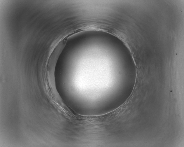 X0000076320289200609291101
