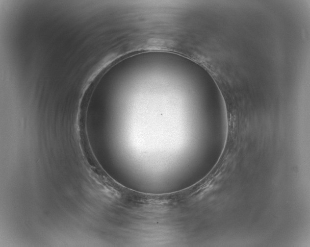 X0000076320292200609291101