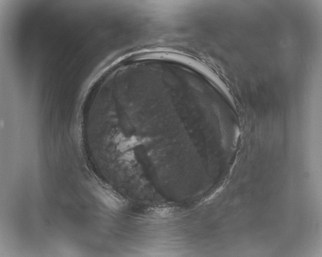 X0000076320295200609291101