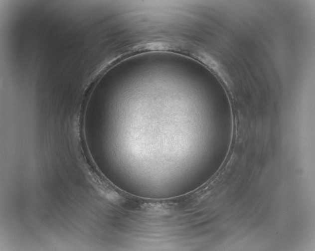 X0000076320297200609291101