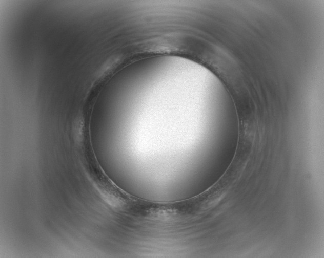X0000076320304200609291101