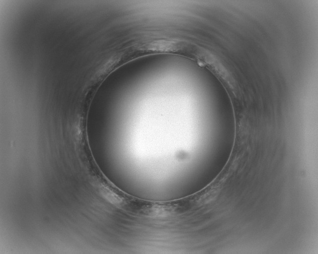 X0000076320305200609291101
