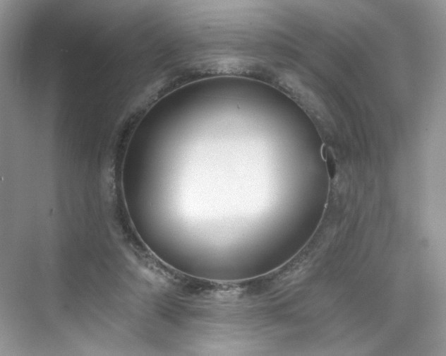 X0000076320306200609291101