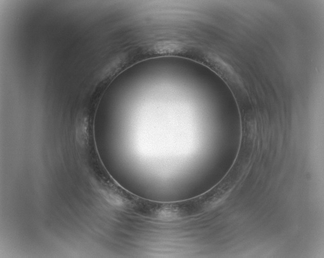 X0000076320308200609291101