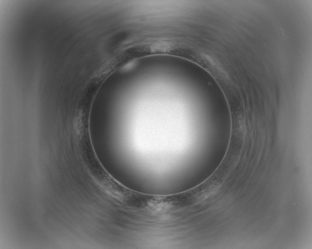 X0000076320311200609291101