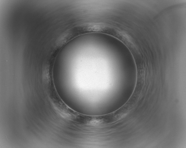 X0000076320312200609291101