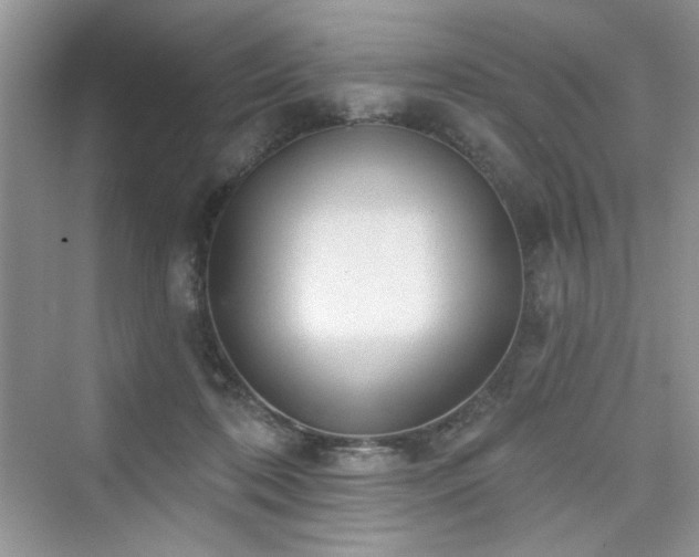 X0000076320316200609291101