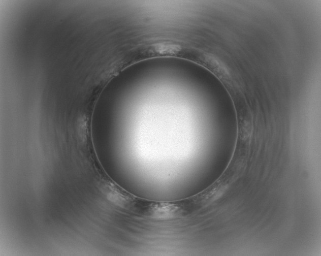 X0000076320321200609291101