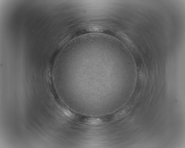 X0000076320322200609291101