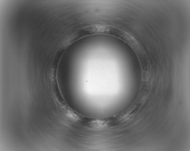 X0000076320326200609291101