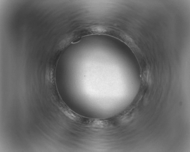 X0000076320330200609291100