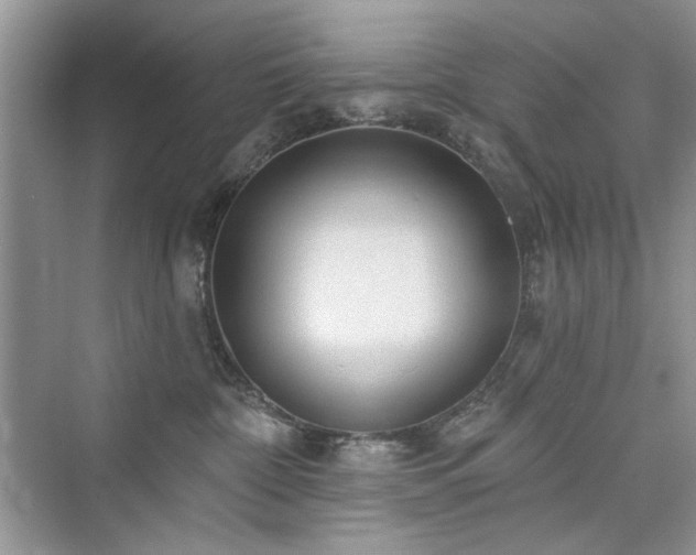 X0000076320332200609291100