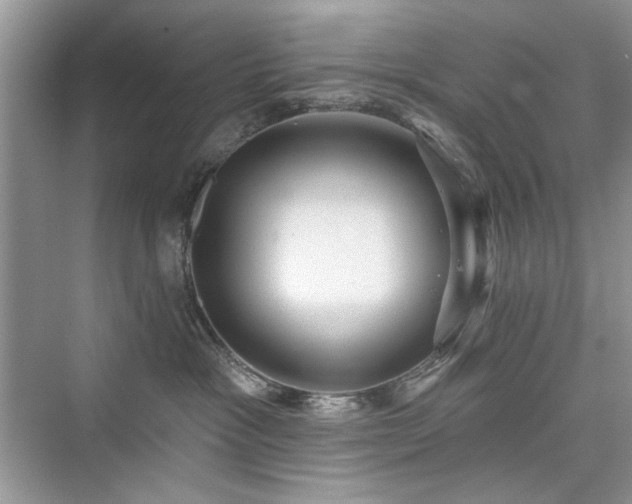 X0000076320333200609291100