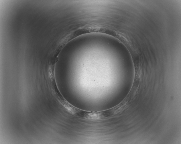 X0000076320335200609291100