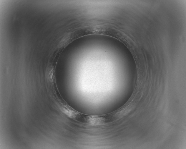 X0000076320336200609291100