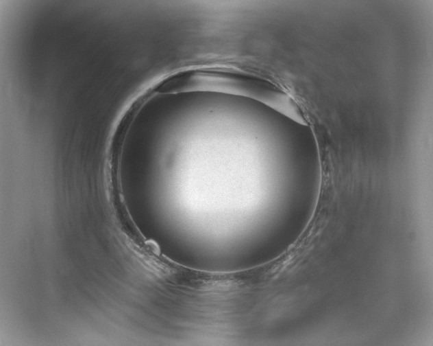 X0000076320342200609291100