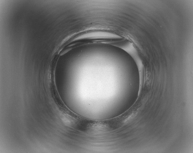 X0000076320348200609291100