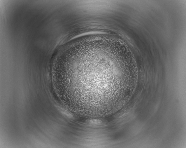X0000076320361200609291100