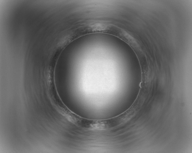 X0000076320362200609291100