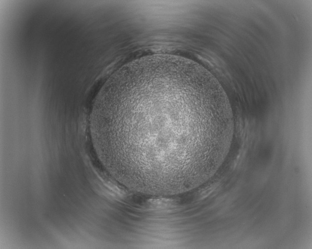 X0000076320367200609291100