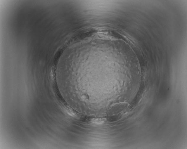 X0000076320373200609291100