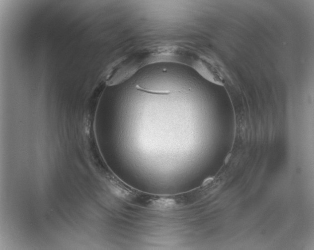 X0000076320374200609291100