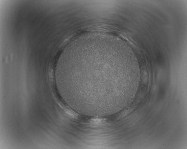 X0000076320375200609291100