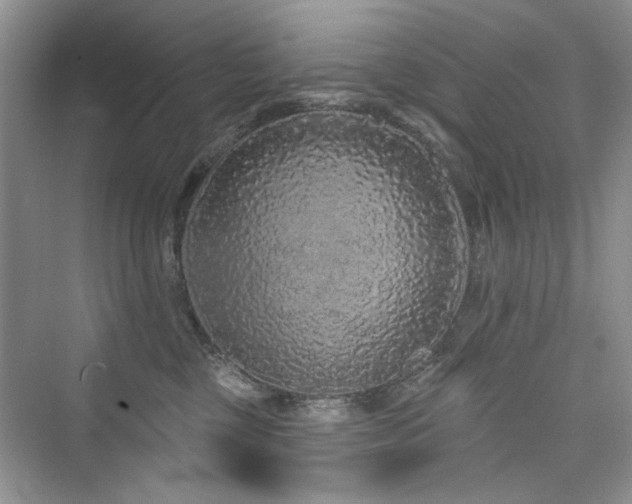 X0000076320377200609291100