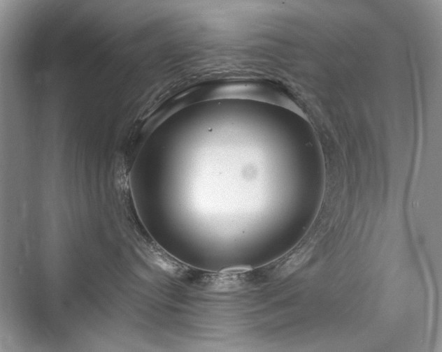 X0000076320384200609291100