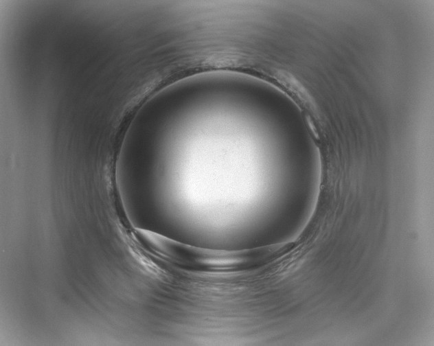 X0000076320393200609291059