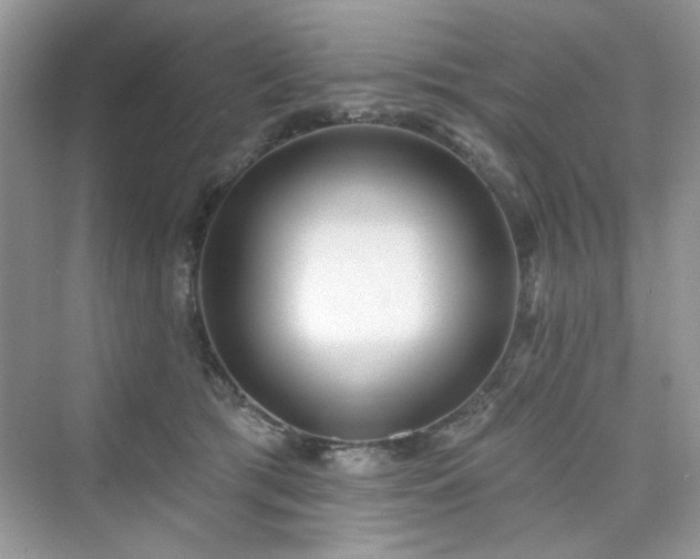 X0000076320417200609291059