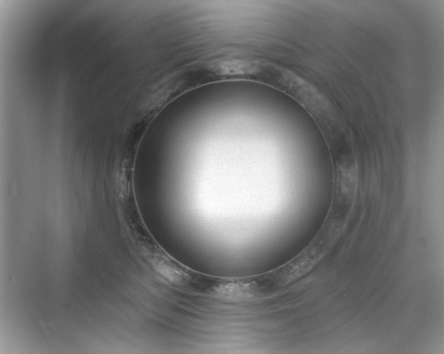 X0000076320422200609291059