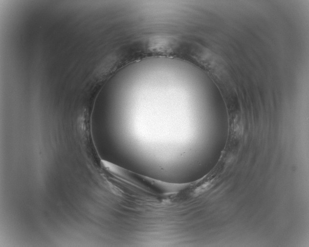 X0000076320424200609291059