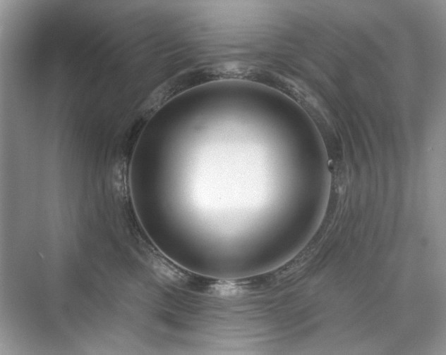 X0000076320425200609291059